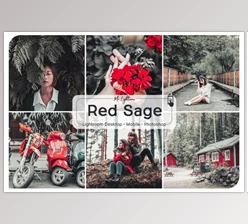 Download Red Sage Lightroom Presets (Mob, Desk)
