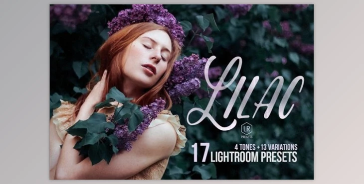 Download Lilac – 17 Toning Lightroom Preset 278633