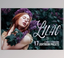 Download Lilac – 17 Toning Lightroom Preset 278633