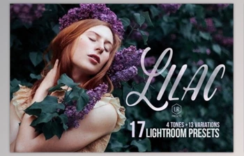 Download Lilac – 17 Toning <span class='badge badge-warning'>Lightroom</span> <span class='badge badge-warning'>Preset</span> 278633