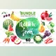 Download Watercolor Vector Bundle CreativeMarket-1201513 (EPS, JPG)