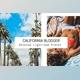 Download Desktop Lightroom Preset CALIFORNIA - CreativeMarket 3628655