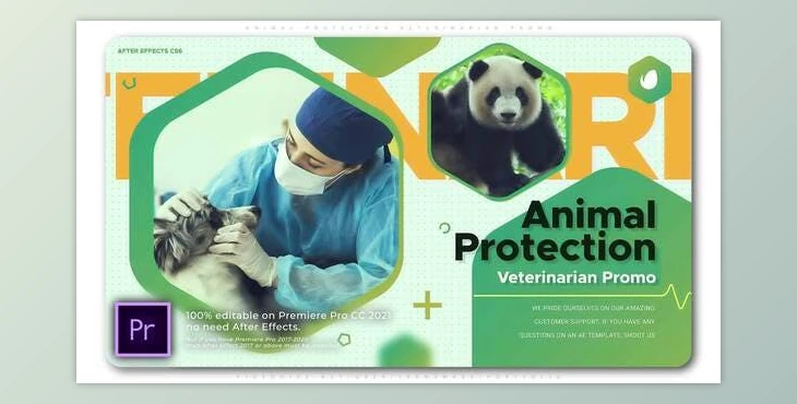 Download Animal Protection Veterinarian Promo (Videohive 34511160)