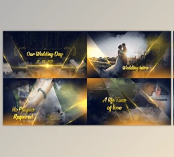 Download Golden Elegant Wedding Slide (Videohive 28417557) - AE Project
