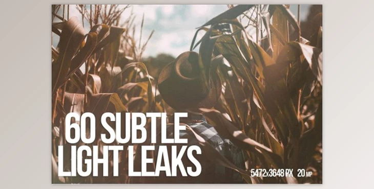 Download 60 Subtle Light Leaks (JPG, AI)