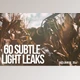 Download 60 Subtle Light Leaks (JPG, AI)