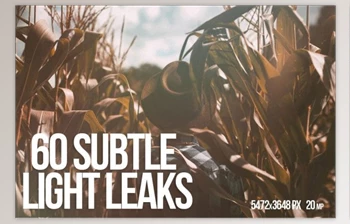 Download 60 Subtle Light Leaks (JPG, AI)