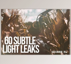 Download 60 Subtle Light Leaks (JPG, AI)