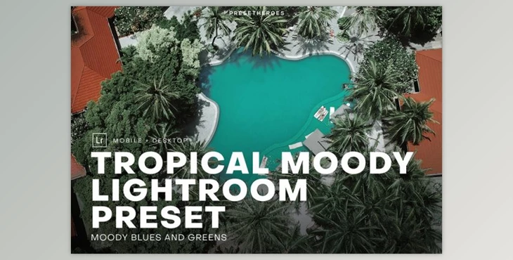 Download Tropical Moody Lightroom Preset (DNG, LRTEMPLATE, PNG)