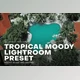 Download Tropical Moody Lightroom Preset (DNG, LRTEMPLATE, PNG)