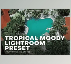 Download Tropical Moody Lightroom Preset (DNG, LRTEMPLATE, PNG)