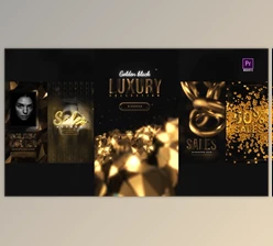 Download Golden Black Instagram Stories (Videohive 34519218)