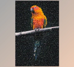 Download Artistic Dots Photo Template – GraphicRiver 33529110 (PSD, JPG)