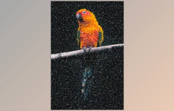 Download Artistic Dots Photo Template – GraphicRiver 33529110 (PSD, <span class='badge badge-warning'>JPG</span>)