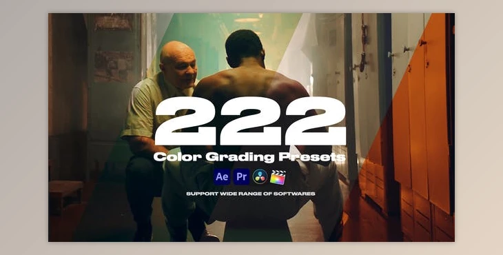 Download Colorify 222 LUTs (Videohive 32902046) - PR Project