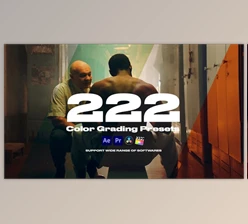 Download Colorify 222 LUTs (Videohive 32902046) - PR Project