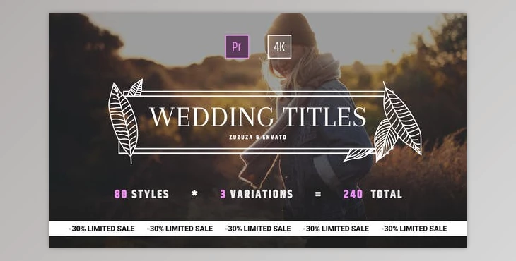 Download Wedding Titles (Videohive 24973837) - PR Project