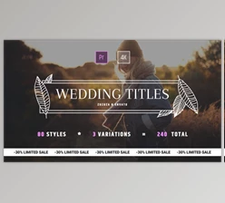 Download Wedding Titles (Videohive 24973837) - PR Project