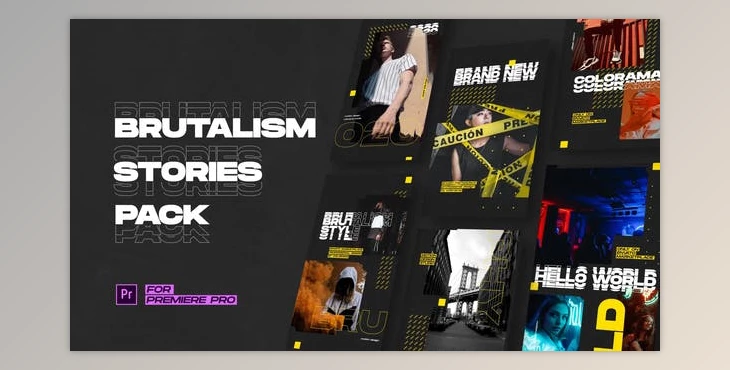 Download Brutalism Instagram Stories (Videohive 28167808) - PR Project