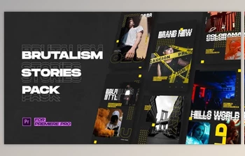Download Brutalism Instagram Stories (<span class='badge badge-warning'>Videohive</span> 28167808) - PR <span class='badge badge-warning'>Project</span>