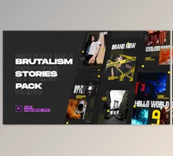 Download Brutalism Instagram Stories (Videohive 28167808) - PR Project