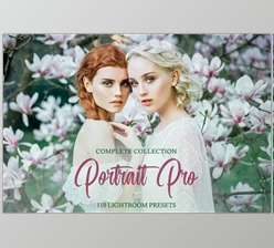 Download Portrait Pro Complete Collection CreativeMarket 4822070