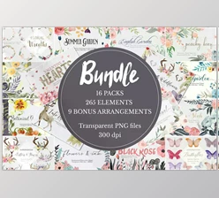 Download Massive Clipart Bundle CreativeMarket 698018