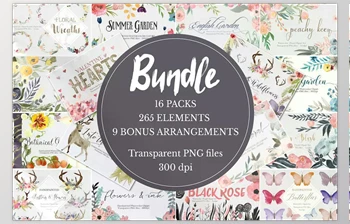 Download Massive Clipart <span class='badge badge-warning'>Bundle</span> <span class='badge badge-warning'>CreativeMarket</span> 698018