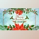 Download Merry Christmas Opener (VideoHive 34988021) - AE Project