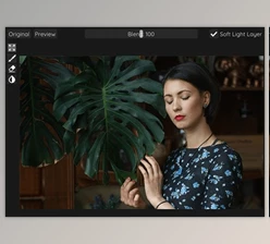 Download Retouch4me Dodge & Burn 1.019