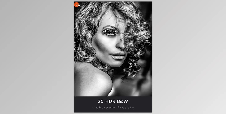 Download 25 Ultra HDR B&W Lightroom Preset V2 GraphicRiver-21717912