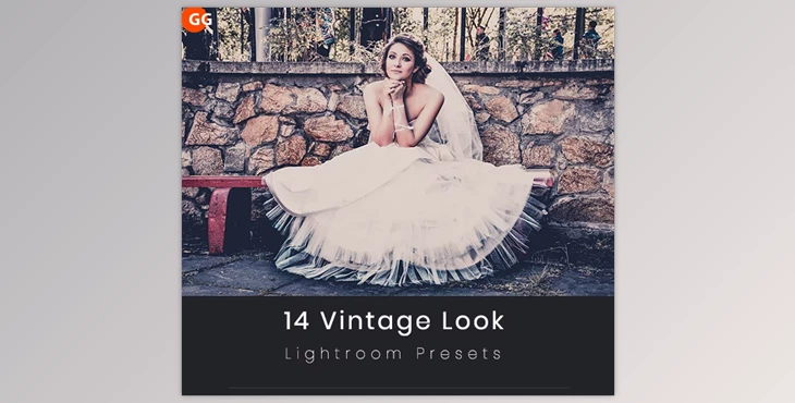 Download 14 Vintage Look Lightroom Preset GraphicRiver-21576820