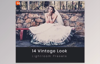 Download 14 Vintage Look Lightroom <span class='badge badge-warning'>Preset</span> GraphicRiver-21576820