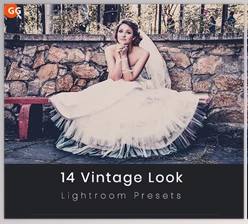 Download 14 Vintage Look Lightroom Preset GraphicRiver-21576820