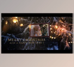 Download Winter Forest Christmas Opener (Videohive 29878847) - AE Project