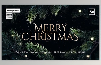 Download Christmas <span class='badge badge-warning'>Wishes</span> (Videohive 34972318) - AE Project