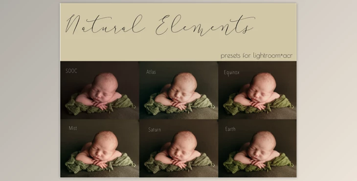 Download Lindsey Williams – Natural Elements Preset Collection