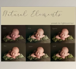 Download Lindsey Williams – Natural Elements Preset Collection