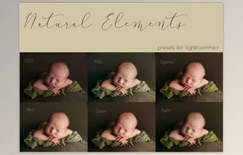 Download Lindsey <span class='badge badge-warning'>Williams</span> – Natural Elements Preset Collection