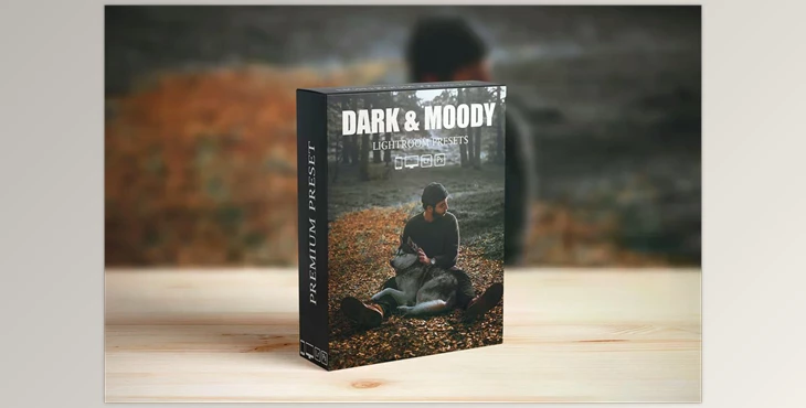 Download Dark and Moody Lightroom presets CreativeMarket-6281502