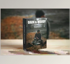 Download Dark and Moody Lightroom presets CreativeMarket-6281502