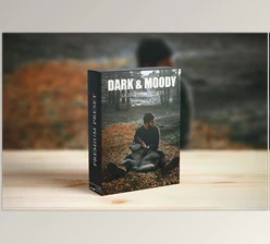 Download Dark and Moody Lightroom presets CreativeMarket-6281502