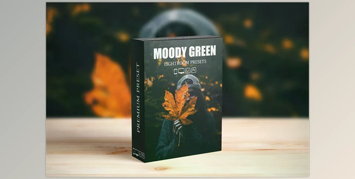 Download Moody Dark Green Lightroom Presets CreativeMarket-6285007