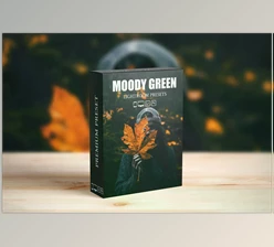 Download Moody Dark Green Lightroom Presets CreativeMarket-6285007