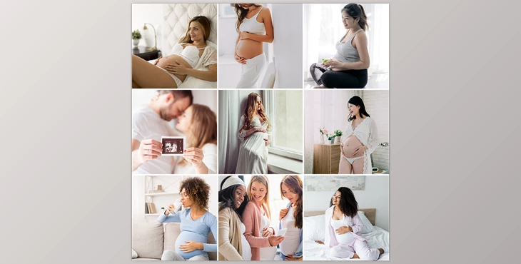 Download Phlearn Pro – Maternity LUTs for Photo & Video