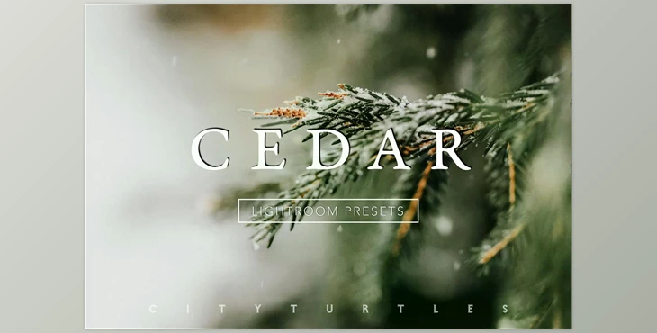 Download CEDAR Subtle Moody Lightroom Presets