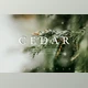 Download CEDAR Subtle Moody Lightroom Presets
