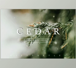 Download CEDAR Subtle Moody Lightroom Presets