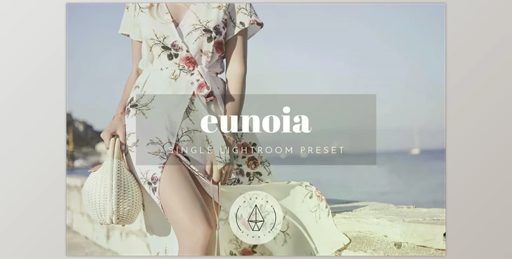 Download Eunoia – Lightroom Preset CreativeMarket 2637154