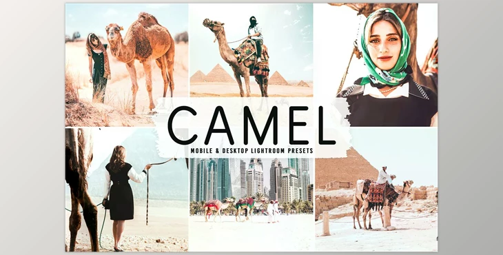 Download Camel Pro Lightroom Presets CreativeMarket - 6622399